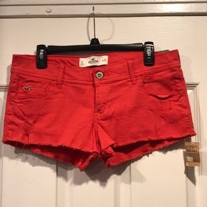 Hollister Betty Shorts